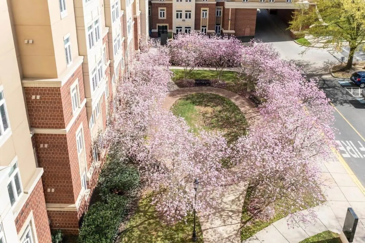 4B 2Ba Luxury Central Apartment With Gym Charlotte